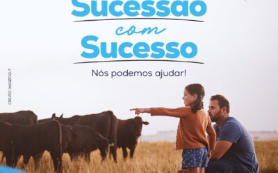 Assessoria Contábil